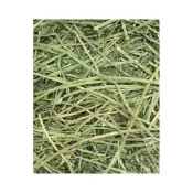 (店+)優質苜蓿草 梗多 牧草 5kg裝 (無過篩)