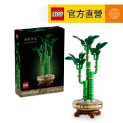 【LEGO樂高】Botanicals 10344 開運竹(居家擺設 花藝植栽)