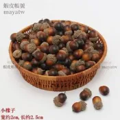 (MOLD-A_018)仿真小水果假水果蔬菜泡沫模型迷你水果蔬菜 攝影道具 高仿真橡子