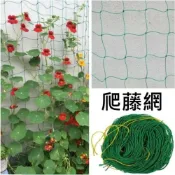 (店+)爬藤網 27股線 栽培網 棚架網 園藝網 搭架網 爬藤繩 牽牛花 攀援 花卉爬藤網 攀藤網 百香果網 植物攀爬網 爬籐