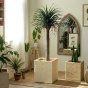 享家時代 花盆｜大型｜大型綠植｜輕奢花盆