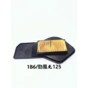 【空氣濾清器】YAMAHA 勁風光125 1B6 空氣濾清器 海綿 空濾