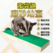 XL和LX小寵穿搭所 【小囧家】現貨 蜜袋鼯玩具 磨砂站臺 小寵攀爬玩具 小蜜站棍 小蜜站桿 鼯幼崽 寵物用品