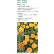 愛上種子 花海用 萬壽菊 可降低線蟲及田間觀賞用