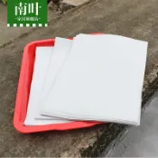 協貿國際日用品生活6館 家庭陽臺紙上種菜芽苗菜墊紙無土栽培紙用種植紙 育苗紙10張