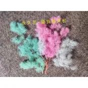 🌷乾燥花/永生花🌷🌸推薦🌸浮油花用-永久花 乾燥花~蓬萊松 每份約2克