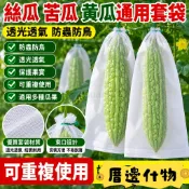 💥優之良品💥無紡布蔬果防蟲套袋 苦瓜絲瓜甜瓜水果保護袋 防果蠅蜂蟲網袋 果園種植防蟲袋 蔬果防蟲袋,水果套袋
