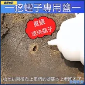 趕海工具專業套裝挖蟶子耙子螃蟹夾沙灘挖土貝殼挖蟶子蛤蜊專用鹽可開發票✅️樂行山野🔥臺灣出貨🔥