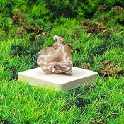 能量擺飾-瑪瑙可愛小晶洞聚寶盆 招財 療癒 開運 原礦 快速出貨