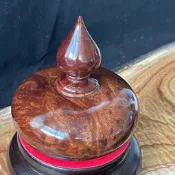 黃金樟聚寶盆 樹瘤料 瘤花招財聚寶盆 ※ -114