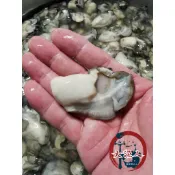 【大漁人】批發優惠 滿2000免運 東石蚵仔 牡蠣 蚵仔 600g±10%