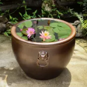 臺灣熱賣🔥睡蓮荷花盆缸水缸鐵樹盆景花盆種樹大花盆特大號庭院陶瓷大號清倉陶瓷碗蓮盆缸 水缸 魚缸 庭院仿石大水缸