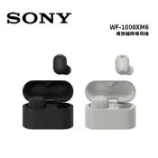 SONY 索尼 WF-1000XM6 真無線降噪耳機