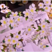 (膠帶･分裝) 繁花文創 四季春 (100cm) (亮P･模切)*另有整卷賣場*