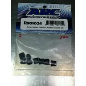 ARC R801024 R8.0 /R8.1 /R8.1E 後下擺臂襯套 TITAN 泰德