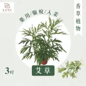 【拈花微笑】艾草｜3吋｜香草植物｜天然防蚊驅蟲｜ 葉片可食用｜製作草仔粿｜氣味清新