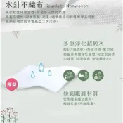 (店+)箱售 獅子寶寶濕紙巾 獅子寶寶 濕紙巾 新生兒濕紙巾 寶寶濕紙巾 超純水厚濕紙 巾 不連抽