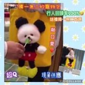 網紅 超Q寵物包 手提包 購物袋 外出籠 寵物外出籠 帆布包 側背包 肩背包 帆布袋 貓罐頭 米老鼠 抖音 米奇 狗頭包