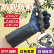 牛皮防護防刺手套園林園藝修剪玫瑰月季摘花椒刺剝板栗子防滑防扎小象百貨
