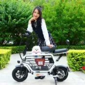 ⭐全臺保固⭐親子電動滑板車 電動自行車 可帶寵物狗遛狗電動車 小型女士迷你電輔車 摺疊帶娃電瓶車 親子電動車 小型電動車