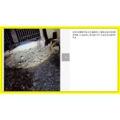 SYM 野狼傳奇 125 / 150大燈 BWS 125 圓燈版魚眼 BWS X 125 JOG 125  極光版