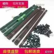 新品🔥臺出💯蝴蝶蘭支架園藝植物夾子花卉固定藤蔓爬藤蘭花金錢樹天堂鳥支撐杆 園藝鐵絲 植物支架 蝴蝶蘭鐵絲 花桿 支架