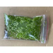 小葉浮萍 /玫瑰水芙蓉/金魚藻/水草 /水蘊草/槐葉萍 /圓心萍 /蘋果蓮 /迷你浮萍/漂浮水草 /水中葉 圓葉萍