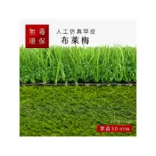 (店+)Colors日系質感居家布萊梅 人工仿真草皮  尺寸1X1m 人工草皮 人造草皮 拼接草皮 景觀草皮 建築材料 庭園造景(仿真人工草)