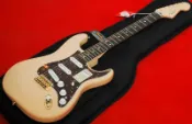 ♪ Your Music 愉耳樂器♪Fender Deluxe Players Strat Rosewood