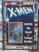 【小熊家族】英文繪本(D) X-MAN  HAVOK: THE SECRET OF CYCLOPS' 