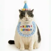 【尋寵】現貨 寵物 生日帽 生日圍兜 生日領巾 狗狗生日 貓咪生日 狗生日帽 寵物帽子 領巾 狗聚 派對 生日快樂