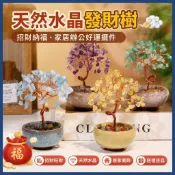 結緣🙏送財符  天然水晶 發財樹禮品五福車載辦公室可愛 招財 擺件金錢樹家居旺財