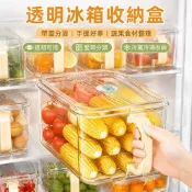 🥫透明冰箱收納盒 帶蓋手提保鮮盒 冷凍分裝盒 蔬果整理盒 廚房冷藏置物盒 食物收納盒 冰箱置物盒 蔬菜水果收納