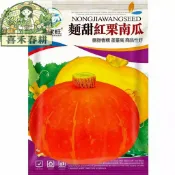 現貨原裝一品紅栗南瓜種子 栗子南瓜東昇南瓜  台灣市場主流品種 口感鬆Q 小型果 耐病蟲 家庭菜園 陽台盆栽 棚架栽培