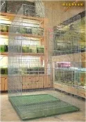 ==臻品寵物生活館==3X4X5~6尺粗鐵條強化電鍍籠鼠籠鳥籠兔籠狗籠貓籠貂籠鸚鵡松鼠飛鼠絨鼠天竺鼠龍貓兔子貂果子狸
