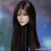 第三方SUPER DUCK SDH030 1/6 美女頭雕植髮適合新白肌粉肌模型
