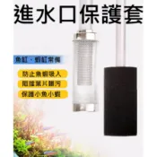 新型【 不銹鋼 炸彈頭 (不鏽鋼接口)】 吸水口 入水口 過濾網 不繡鋼 濾水頭 防小魚 小蝦吸入 濾網頭 幼魚保護