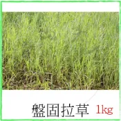 『青山六金』 陸龜 爬蟲 牧草 馬 1kg 牧草 乾草 兔子 苜蓿草 紫花苜蓿草 天竺鼠 墊材 燕麥 盤固拉草 草皮 草