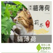 貓薄荷 紫花(約100顆種子) 貓草 荊芥 貓薄荷種子 荊芥種子 貓草種子 香草種子【綠色山嵐】