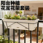 免運🚀花架 掛架 陽台花架 護欄花架 種菜盆掛架 長方形花架 陽台掛架 盆栽架 鐵藝花架 戶外花架 欄杆花架 增高架 加