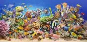 (藝) *非現貨 預購商品* 波蘭原裝進口 Castorland 4000片拼圖 水裡的世界 400089