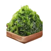 (店+)澎湖野生海菜300g包