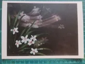 明信片-  空白明信片 2010 桐花祭 有浮桐餐 明信片