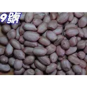 蕭師傅花生 鹽炒花生仁 9號鹽炒花生 14號鹽炒花生 大城名產 伴手禮首選 (淨重350g)