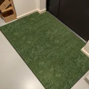【拼全蝦皮最低價】綠色系耐髒水晶絨入戶地墊耐磨除塵玄關大門口通用腳墊地毯地墊