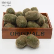 (MOLD-A_221)高仿真水果假水果蔬菜食物模型食品道具超逼真仿真奇異果獼猴桃