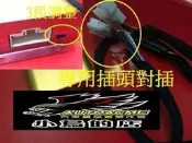 【小鳥的店】豐田 ALTIS WISH RAV4 3D環繞擴大機 專用插頭 免接線 直上 11.5代 11代 X板