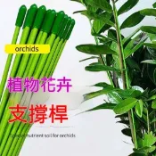 金錢樹支撐杆 花盆支架杆 室內瓜果花卉植物園藝花架 爬藤固定捆綁杆