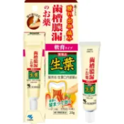 【DOKODEMO】小林製藥 生葉  牙痛・牙齦消腫消炎治療軟膏 20g【第3類醫藥品】