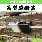 ✫好蒔多肉✫🌺快速出貨🌺高質感掛盆(防風) 掛盆 黑盆 白盆 多肉盆 觀葉 仙人掌 塊根 花卉 蕨類 花器 盆栽 塑膠盆